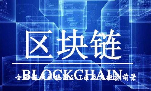 全面解析区块链SLT币及其投资前景