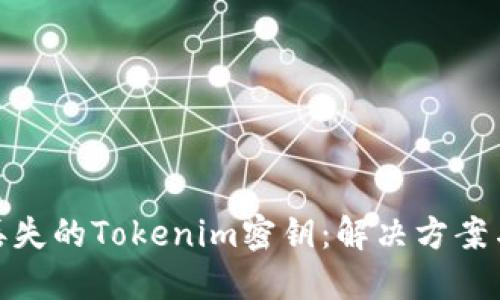 如何找回丢失的Tokenim密钥：解决方案与预防措施