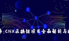 每日一币：CNX区块链项目全面解析与投资指南