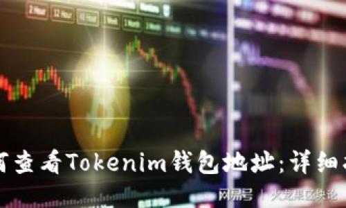 如何查看Tokenim钱包地址：详细指南