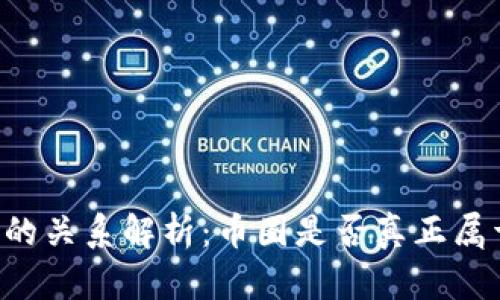 币圈与区块链的关系解析：币圈是否真正属于区块链领域？