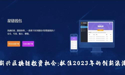 新兴区块链投资机会：抓住2023年的创新浪潮