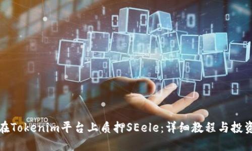 如何在Tokenim平台上质押SEele：详细教程与投资策略