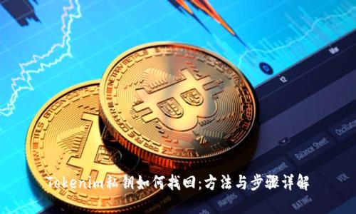 Tokenim私钥如何找回：方法与步骤详解