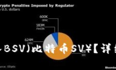 如何在Tokenim中导入BSV（比特币SV）？详细指南与