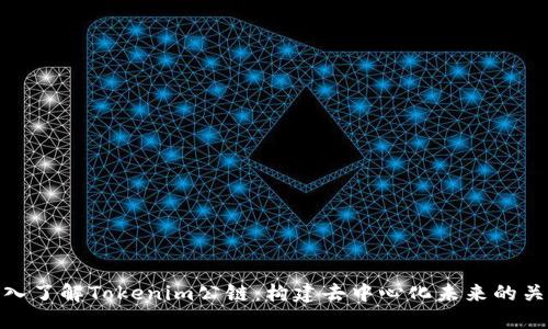 深入了解Tokenim公链：构建去中心化未来的关键