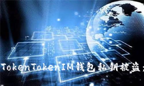 如何防止TokenTokenIM钱包私钥被盗：全面指南