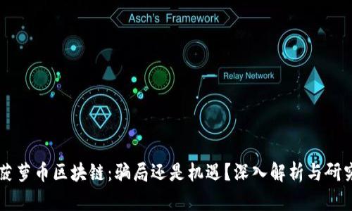 菠萝币区块链：骗局还是机遇？深入解析与研究